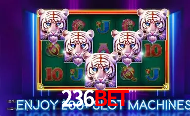 236bet Cassino Online Certificado