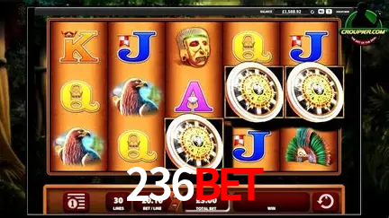 Descubra o Mundo do Cassino Online com 236bet