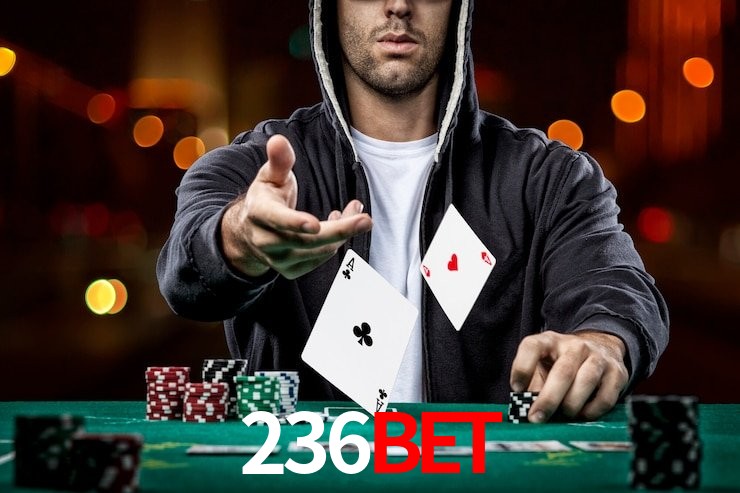 Servidor Brasil 236bet