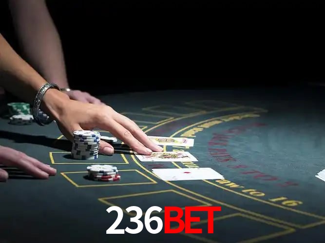 236bet Segurança Logo 3